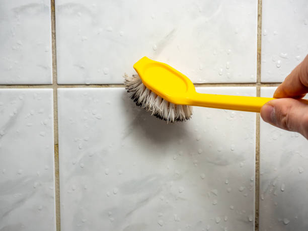 Professional Mold Removal in Oak Grove, VA