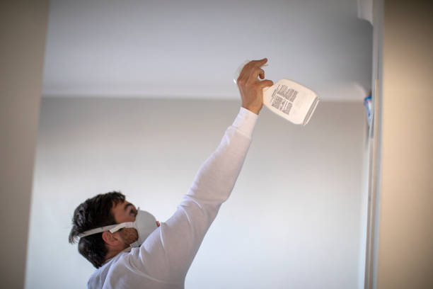 Best Professional Mold Removal  in Oak Grove, VA