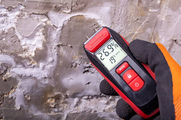 Best Home Mold Removal  in Oak Grove, VA