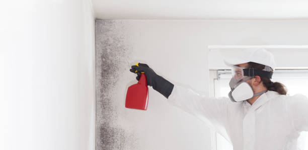 Certified Mold Removal in Oak Grove, VA
