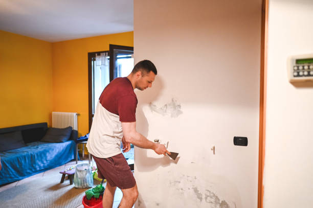Best Mold Removal and Inspection  in Oak Grove, VA